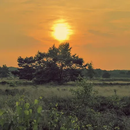 Luxe Grove Den Veluwe Nunspeet