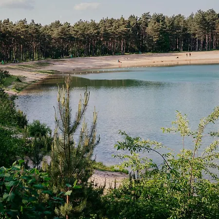 Holiday home Luxe Grove Den Veluwe